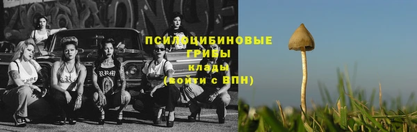 МДПВ Покровск