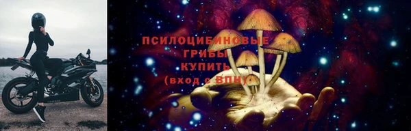 тгк Покров