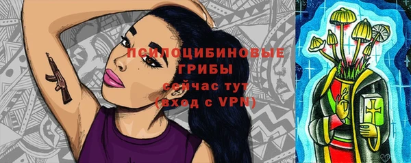 МДПВ Покровск