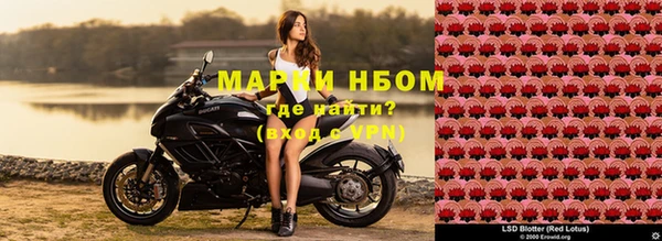 тгк Покров