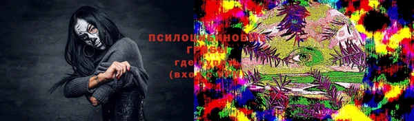 МДПВ Покровск