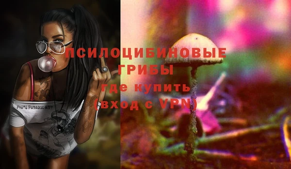 mdpv Покачи